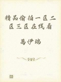 精品偷拍一区二区三区在线看