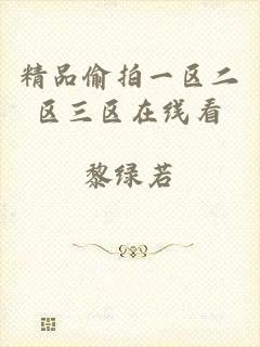 精品偷拍一区二区三区在线看