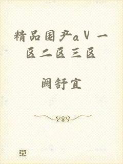 精品国产aⅴ一区二区三区