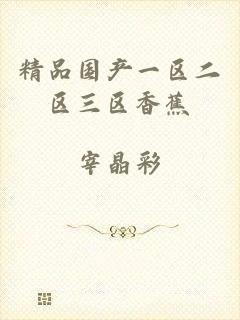 精品国产一区二区三区香蕉