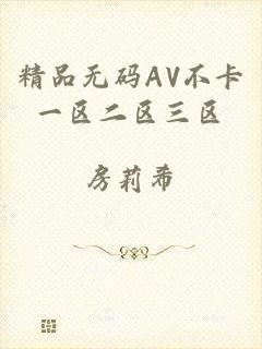 精品无码AV不卡一区二区三区
