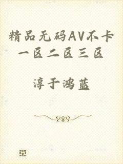 精品无码AV不卡一区二区三区