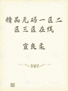 精品无码一区二区三区在线