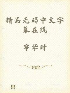 精品无码中文字幕在线