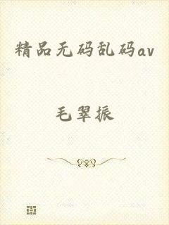 精品无码乱码av