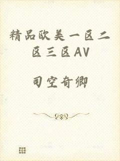 精品欧美一区二区三区AV