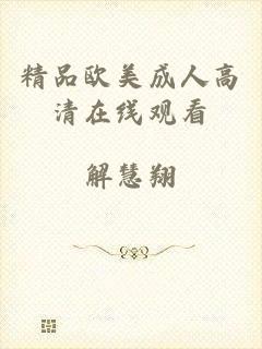 精品欧美成人高清在线观看
