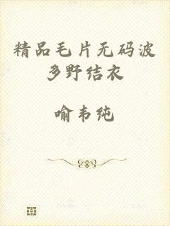 精品毛片无码波多野结衣