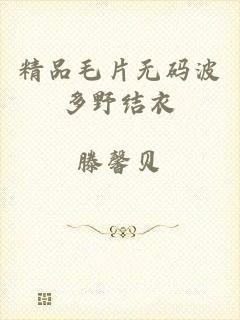 精品毛片无码波多野结衣