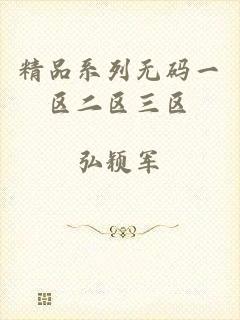 精品系列无码一区二区三区