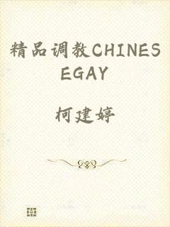 精品调教CHINESEGAY