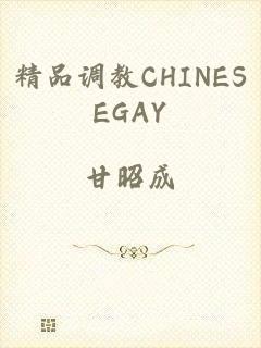 精品调教CHINESEGAY