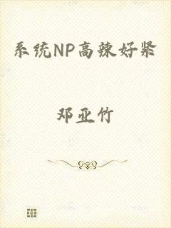 系统NP高辣好紧