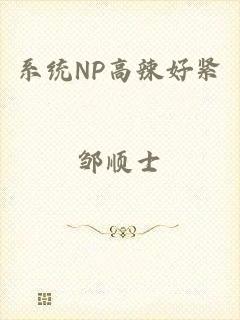 系统NP高辣好紧