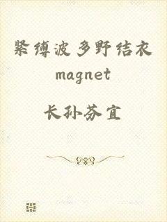 紧缚波多野结衣magnet