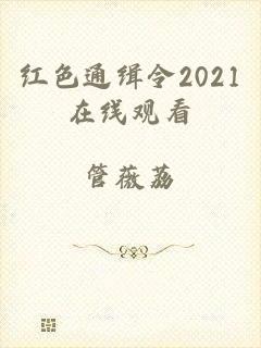 红色通缉令2021在线观看