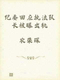 纪委回应执法队长被曝出轨