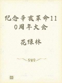 纪念辛亥革命110周年大会