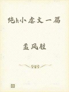 纯h小虐文一篇