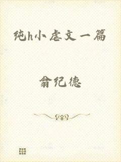 纯h小虐文一篇