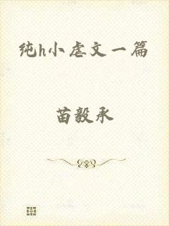 纯h小虐文一篇