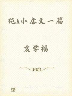 纯h小虐文一篇