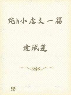 纯h小虐文一篇