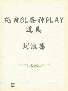 纯肉BL各种PLAY道具