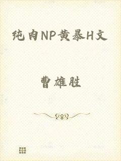纯肉NP黄暴H文