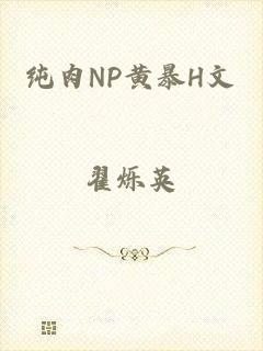 纯肉NP黄暴H文