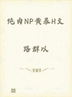 纯肉NP黄暴H文