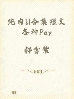 纯肉bl合集短文各种Pay