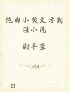纯肉小黄文污到湿小说