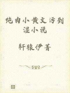 纯肉小黄文污到湿小说