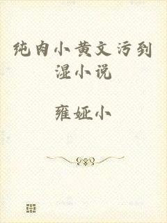 纯肉小黄文污到湿小说
