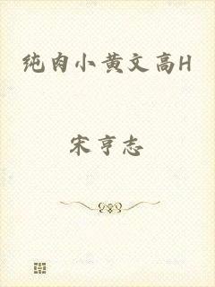 纯肉小黄文高H