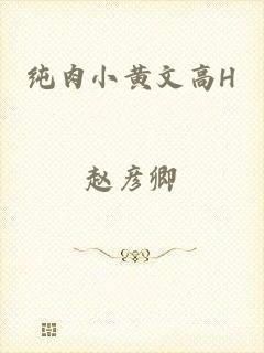 纯肉小黄文高H
