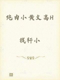 纯肉小黄文高H