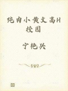 纯肉小黄文高H校园