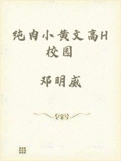 纯肉小黄文高H校园
