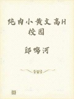 纯肉小黄文高H校园
