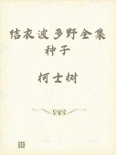 结衣波多野全集种子