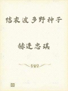 结衣波多野种子