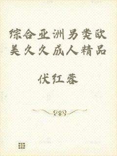 综合亚洲另类欧美久久成人精品