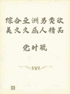 综合亚洲另类欧美久久成人精品