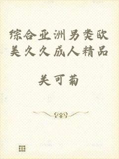 综合亚洲另类欧美久久成人精品