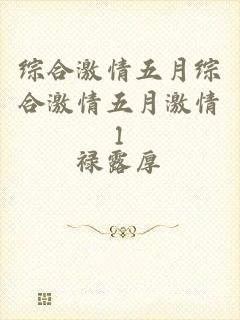综合激情五月综合激情五月激情1