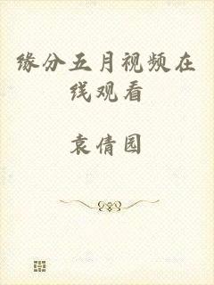 缘分五月视频在线观看