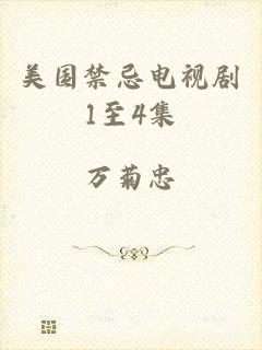 美国禁忌电视剧1至4集