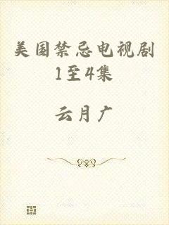 美国禁忌电视剧1至4集